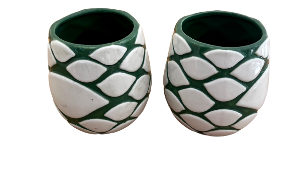 Agave cocktail mugs (set of 2)